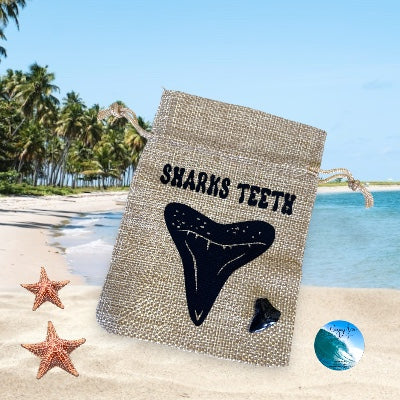 Black Shark Tooth Bag